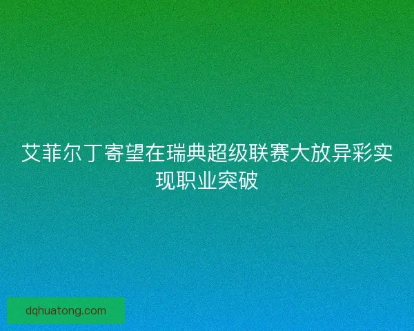 艾菲尔丁寄望在瑞典超级联赛大放异彩实现职业突破