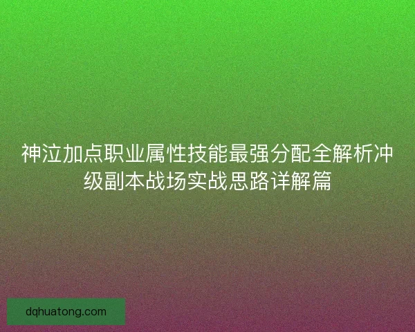 神泣加点职业属性技能最强分配全解析冲级副本战场实战思路详解篇 神泣加点职业属性技能最强分配全解析冲级副本战场实战思路详解篇